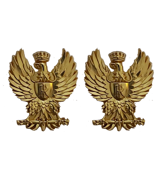 Aquila grado Polizia di Stato al paio