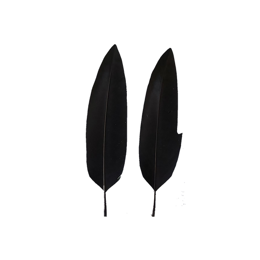 Penna per cappello Alpino flessibile