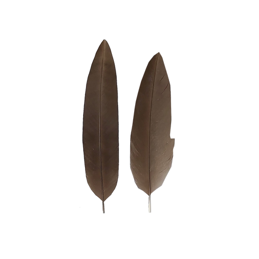 Penna per cappello Alpino flessibile