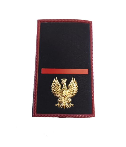 Gradi tubolare Polizia di Stato (prezzo al paio)