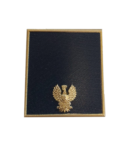 Gradi velcro Polizia di Stato